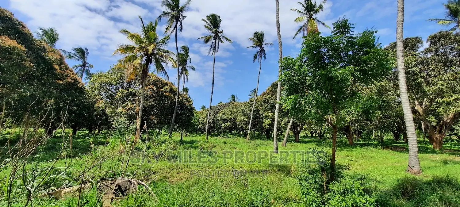 Invest in Commercial Real Estate: 46 Acres in Mtwapa, Kenya in Mtwapa