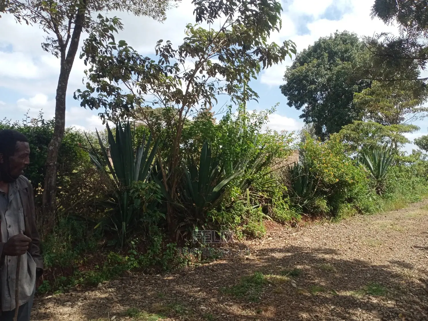 1 Acre Karatina in Karatina Town