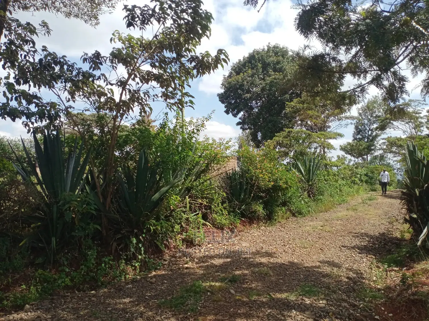1 Acre Karatina in Karatina Town