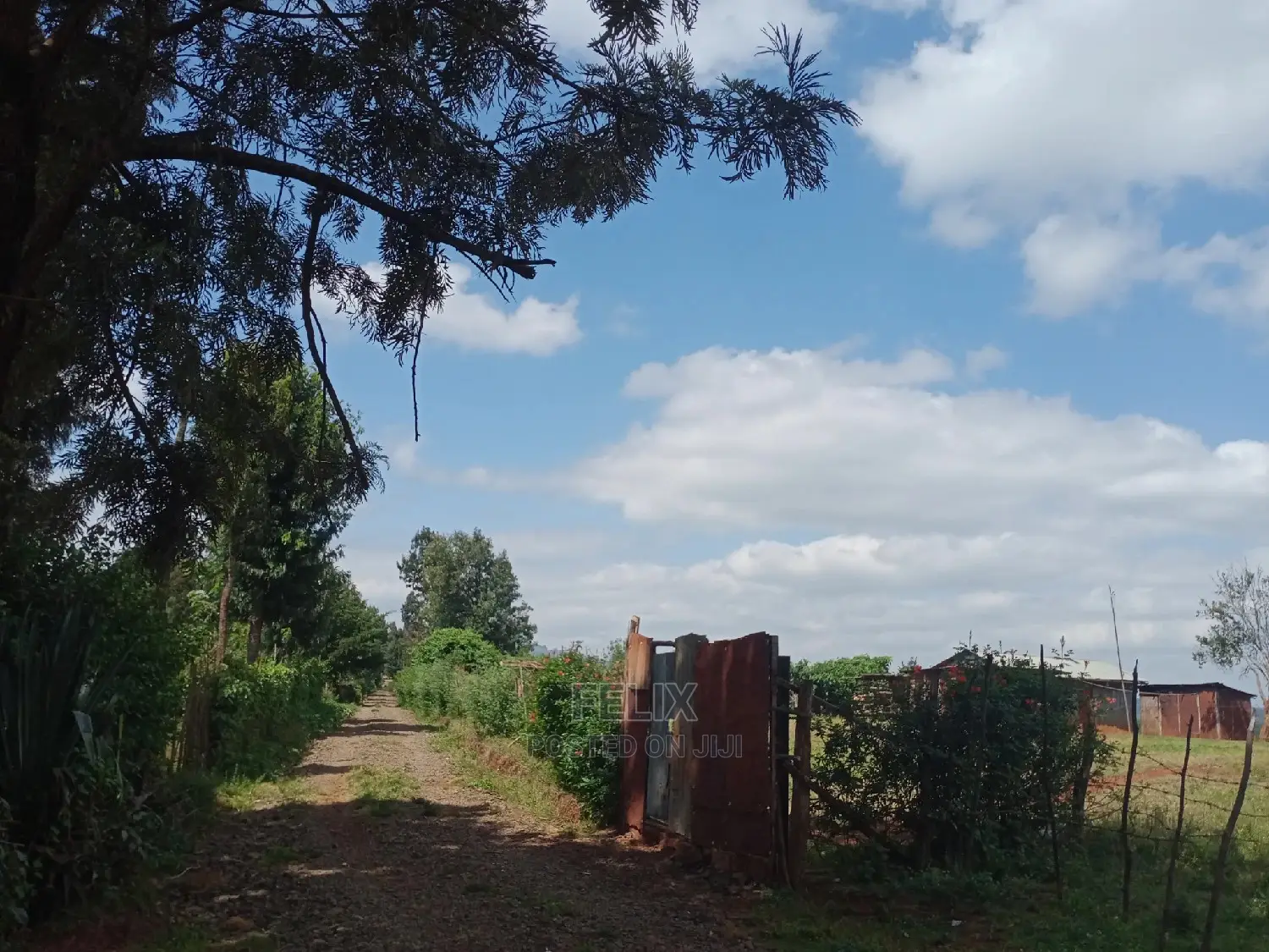 1 Acre Karatina in Karatina Town