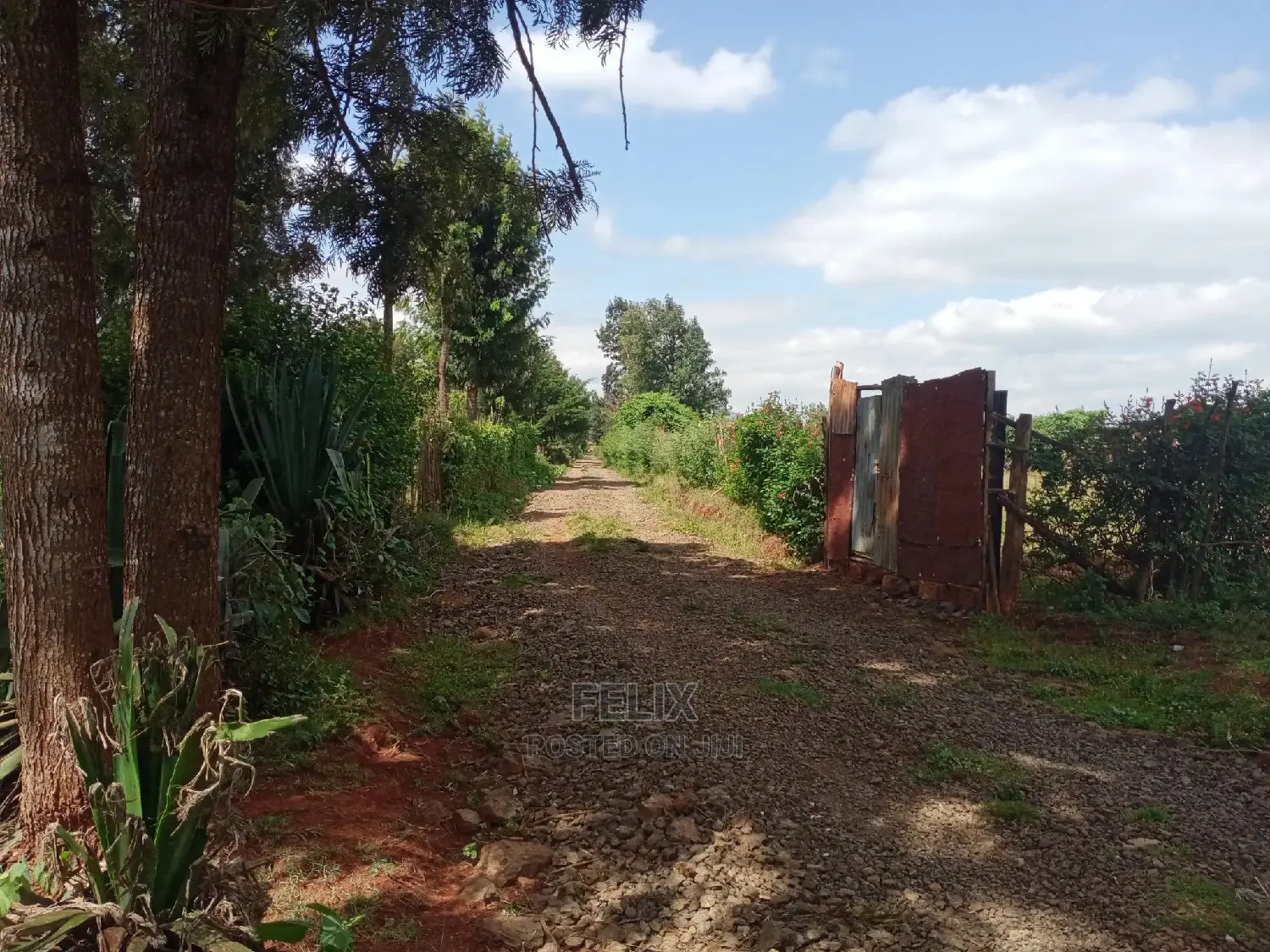 Prime Plots in Karatina /Kirimara in Karatina Town
