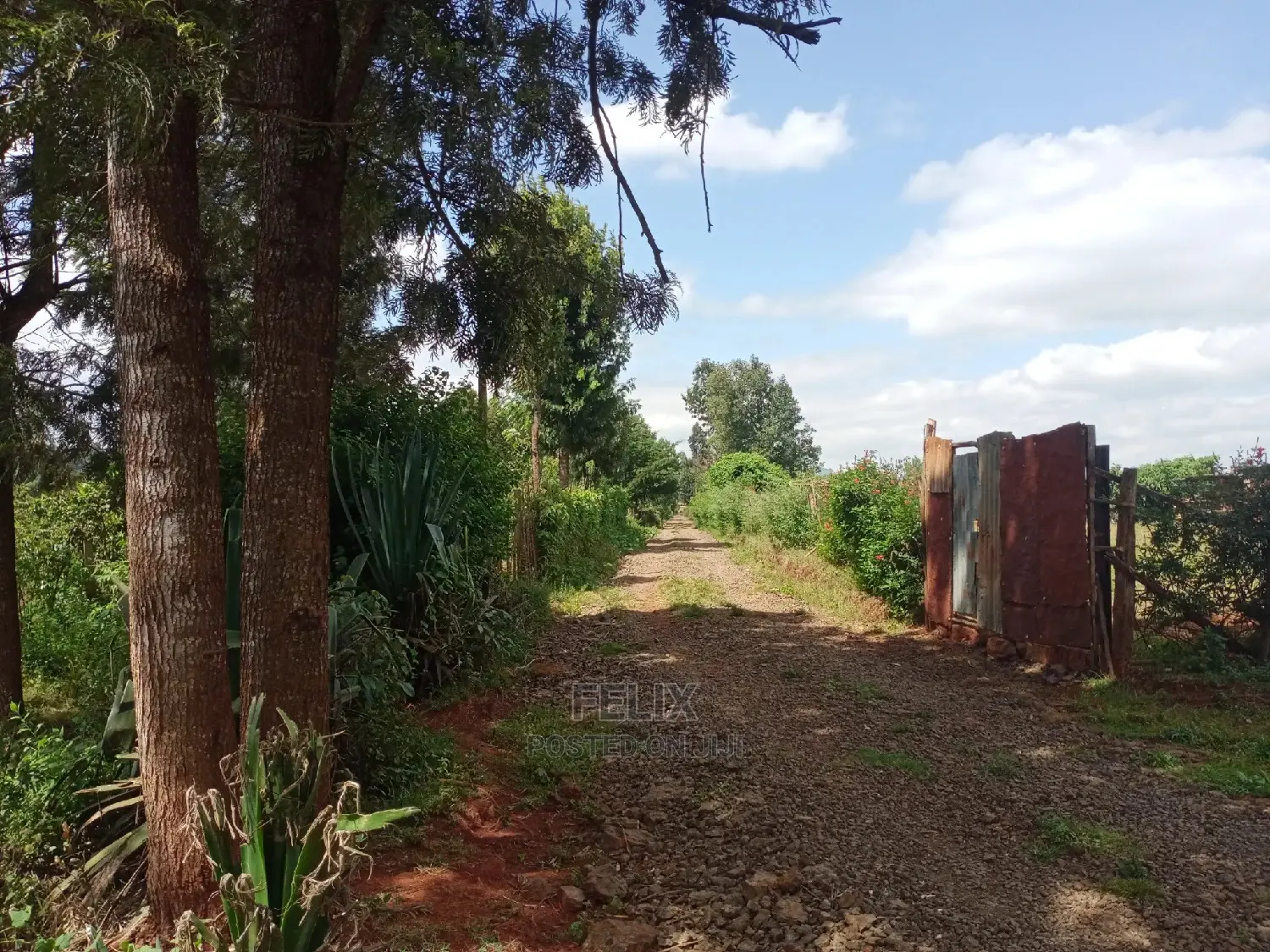 Prime Plots in Karatina /Kirimara in Karatina Town