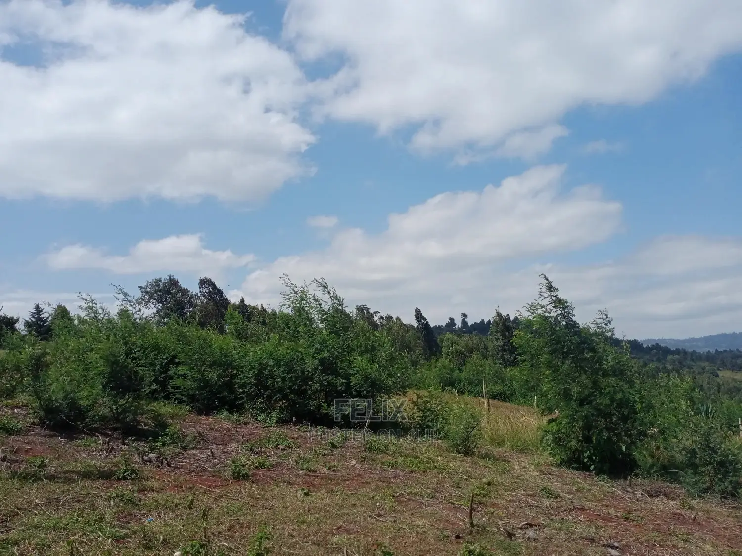 2 Acres Karatina Unjiru in Karatina Town