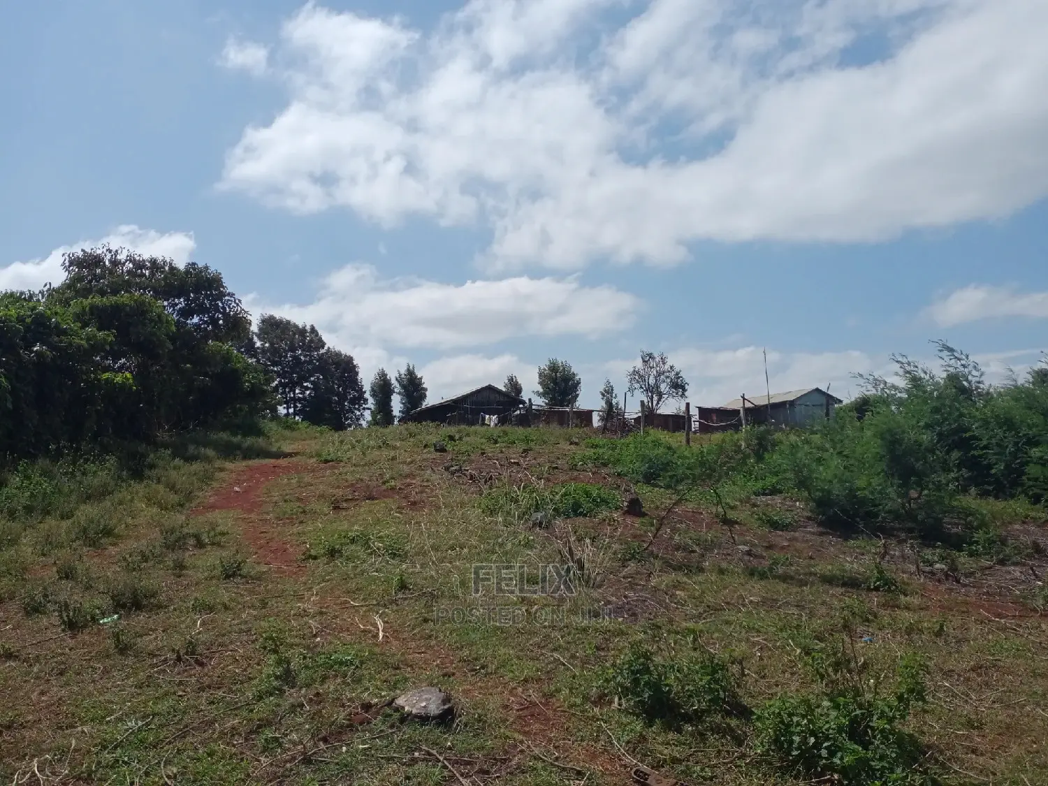 2 Acres Karatina Unjiru in Karatina Town