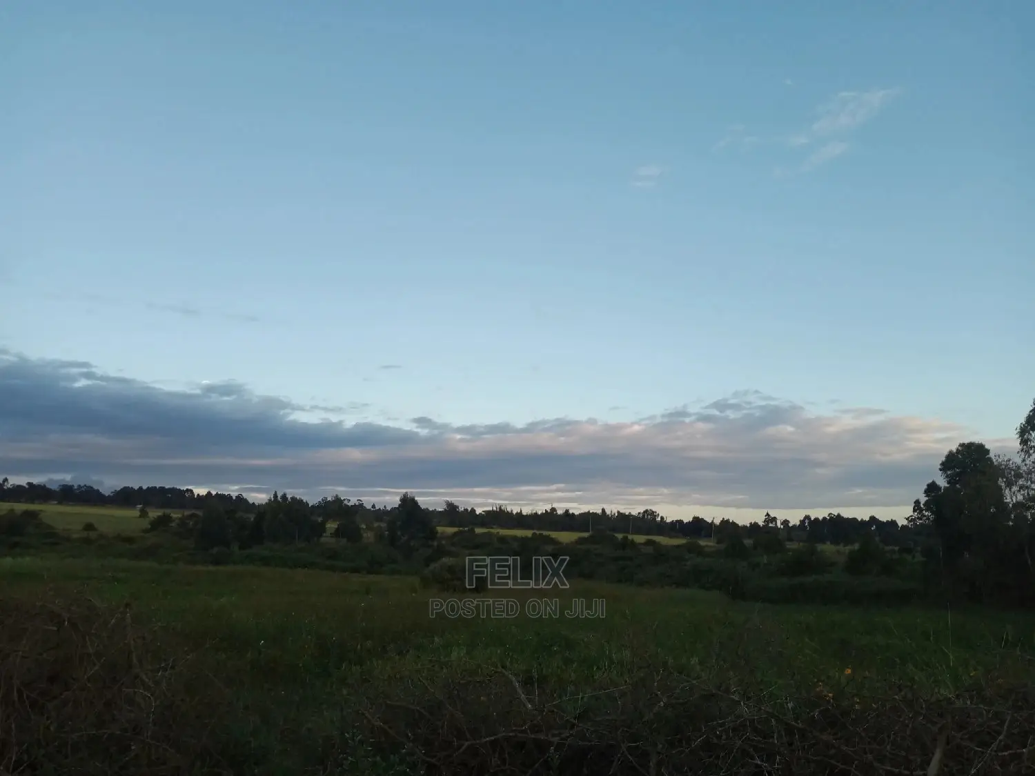 Prime Plots Nanyuki/Mirera in Nanyuki