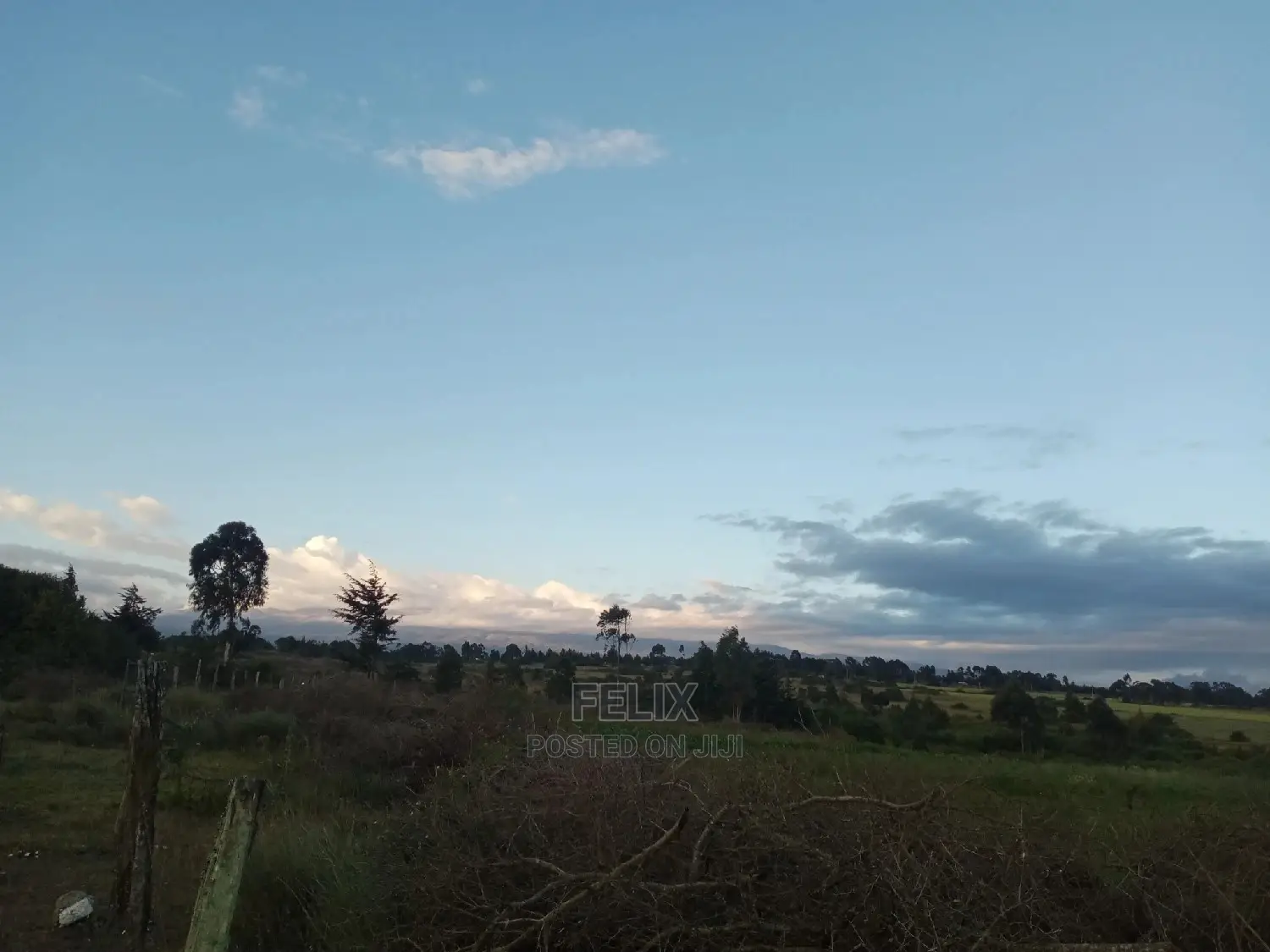Prime Plots Nanyuki/Mirera in Nanyuki