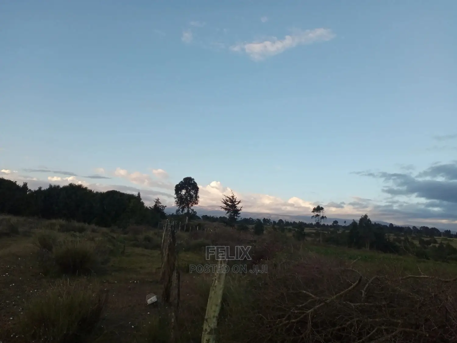 Prime Plots Nanyuki/Mirera in Nanyuki