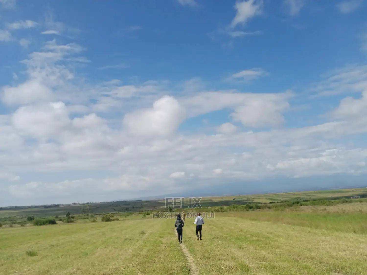 Nanyuki Airstrip Quota Plots 100/100 in Nanyuki