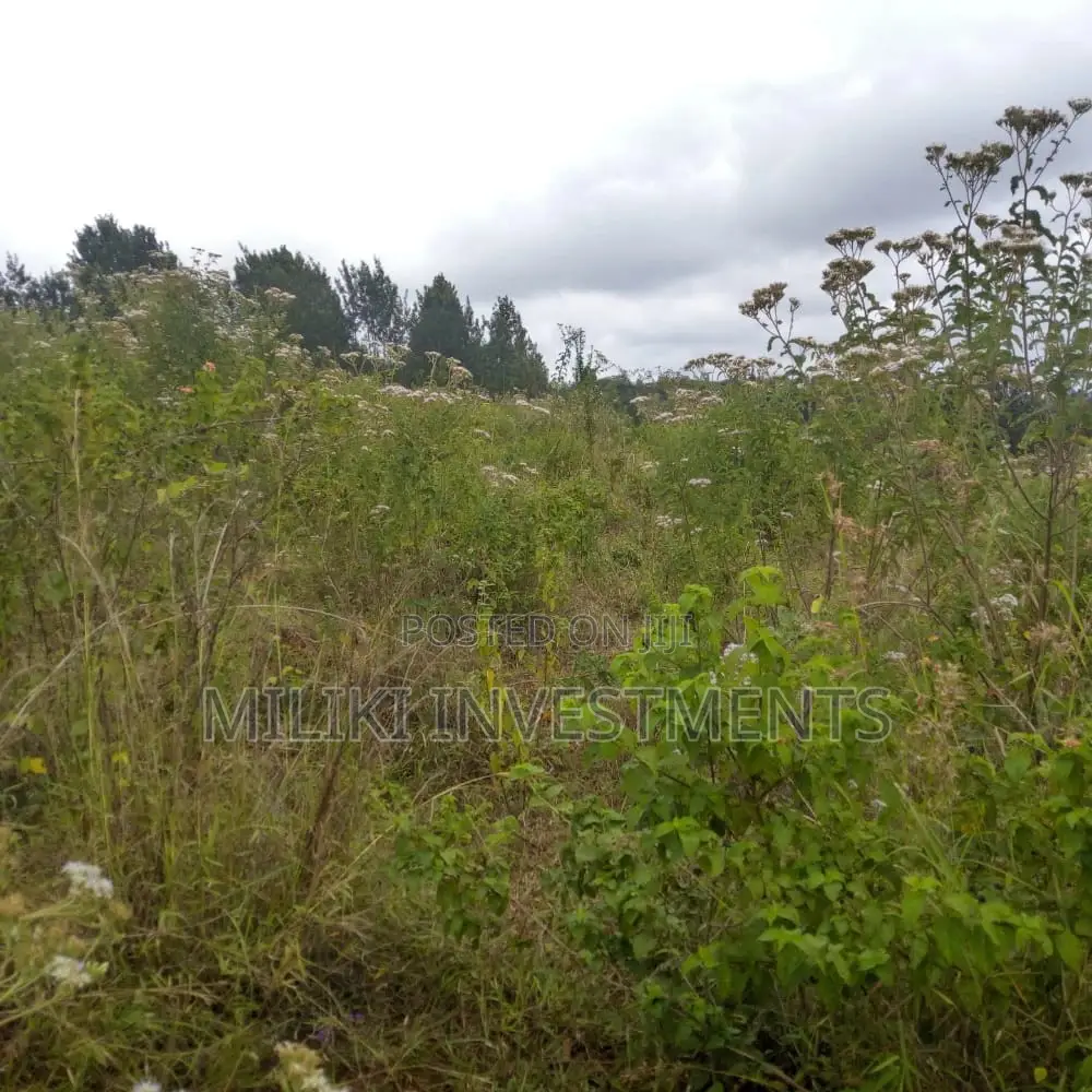 6-Acre Property in Maragua Mbombo: A Great Investment Opportunity! in Makuyu