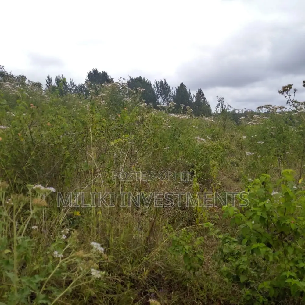 6-Acre Property in Maragua Mbombo: A Great Investment Opportunity! in Makuyu