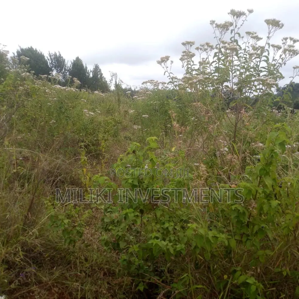 6-Acre Property in Maragua Mbombo: A Great Investment Opportunity! in Makuyu