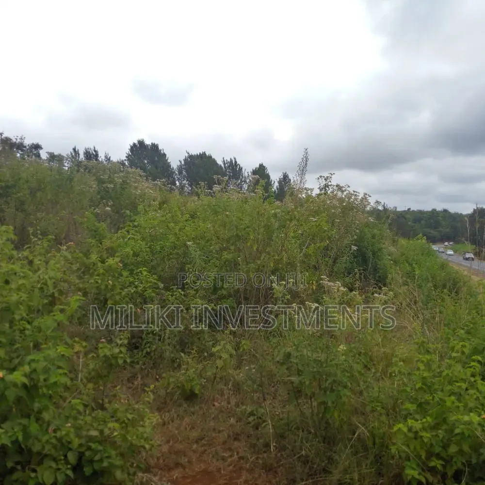 6-Acre Property in Maragua Mbombo: A Great Investment Opportunity! in Makuyu