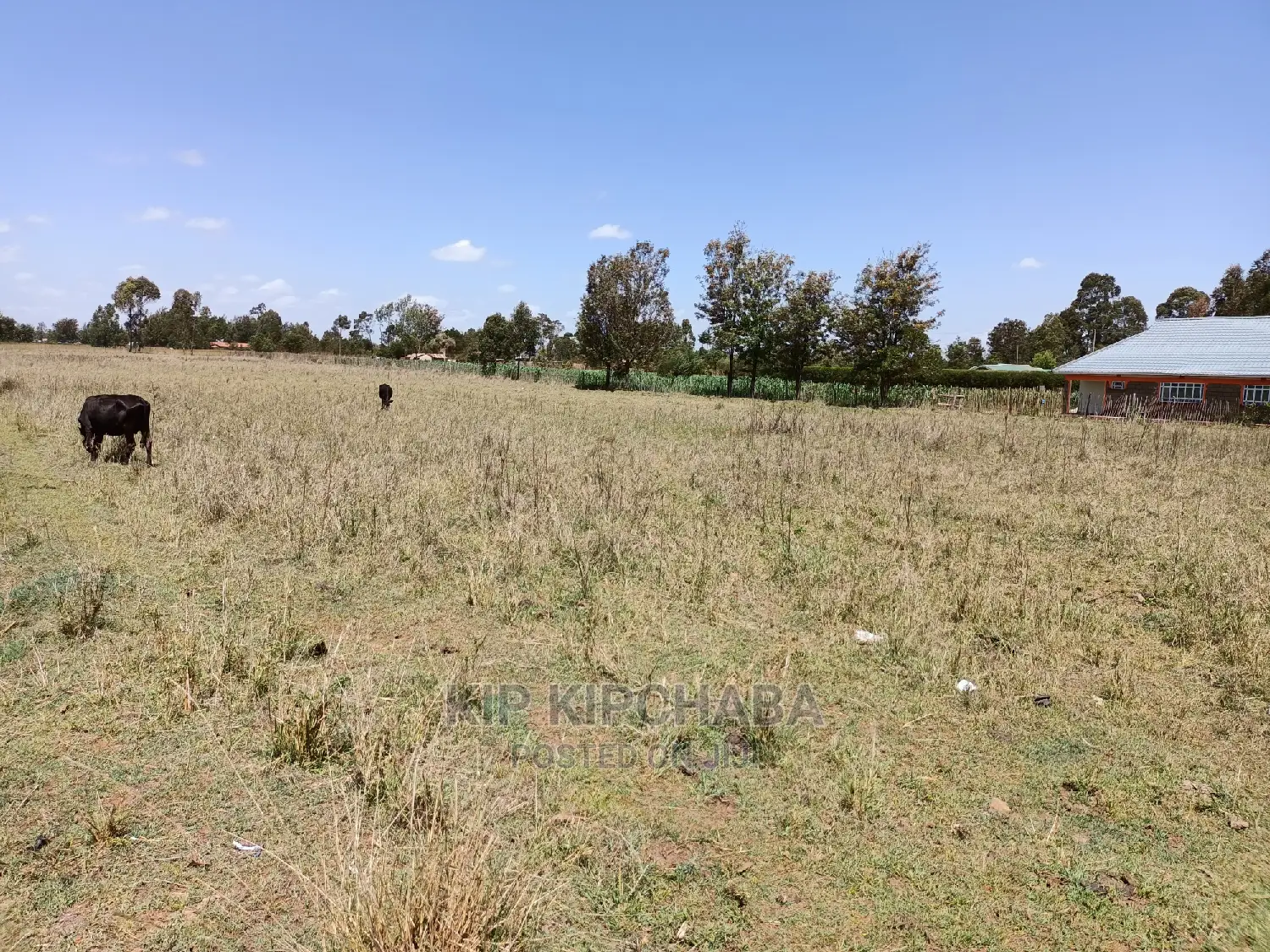 3-Acre Property for Sale in Ziwa Eldoret's Kuinet Centre in Kuinet