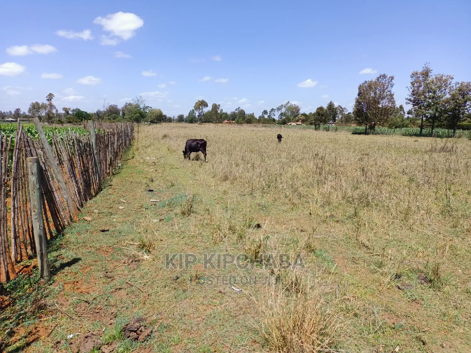 3-Acre Property for Sale in Ziwa Eldoret's Kuinet Centre in Kuinet