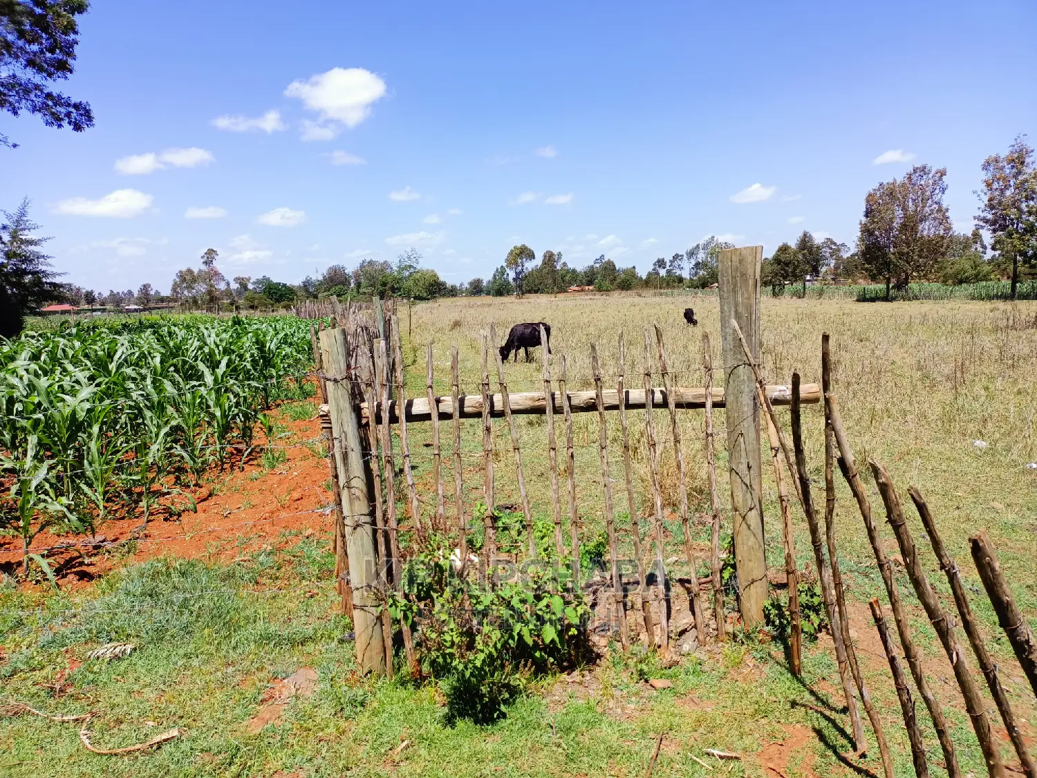 3-Acre Property for Sale in Ziwa Eldoret's Kuinet Centre in Kuinet