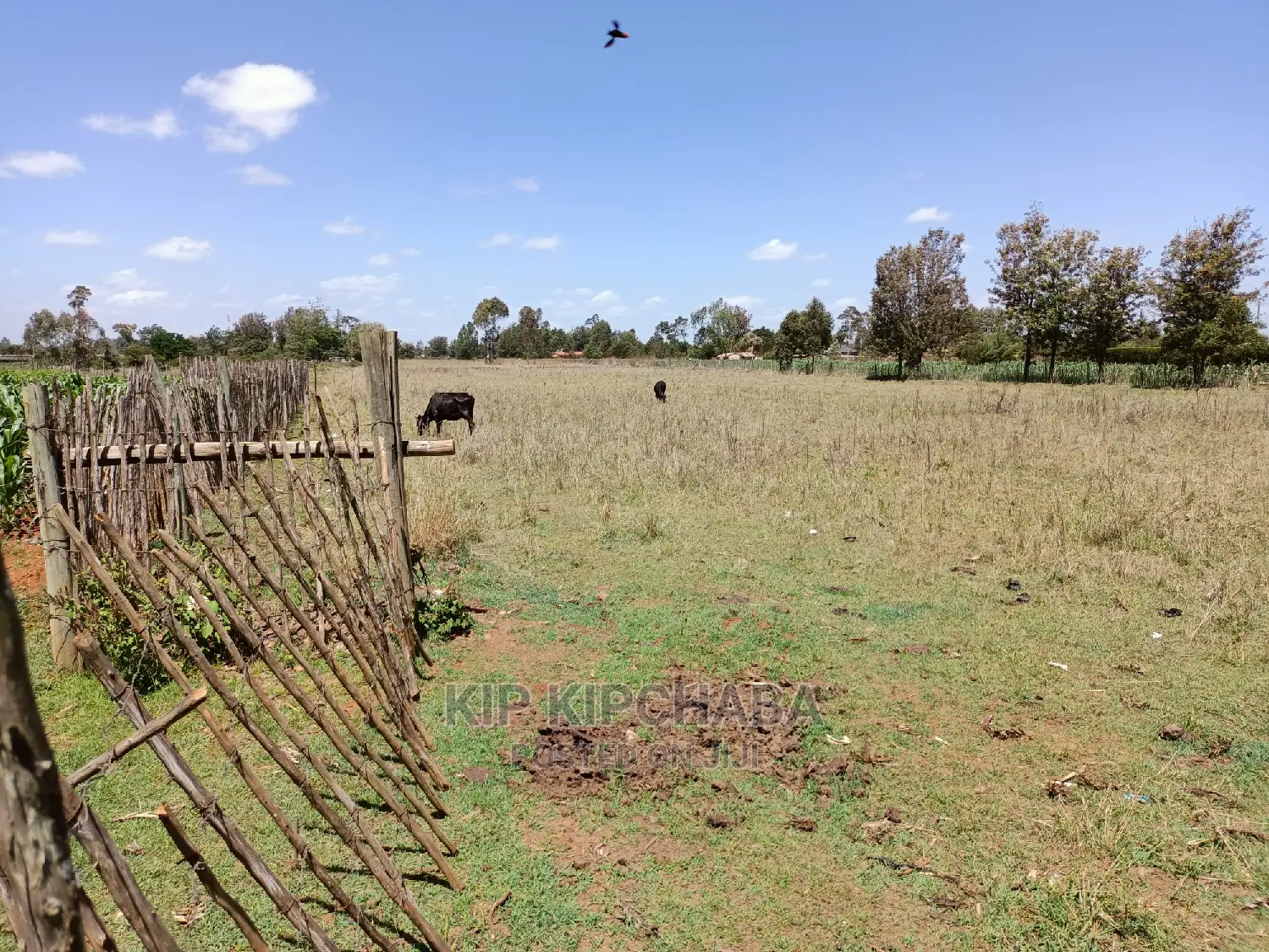 3-Acre Property for Sale in Ziwa Eldoret's Kuinet Centre in Kuinet