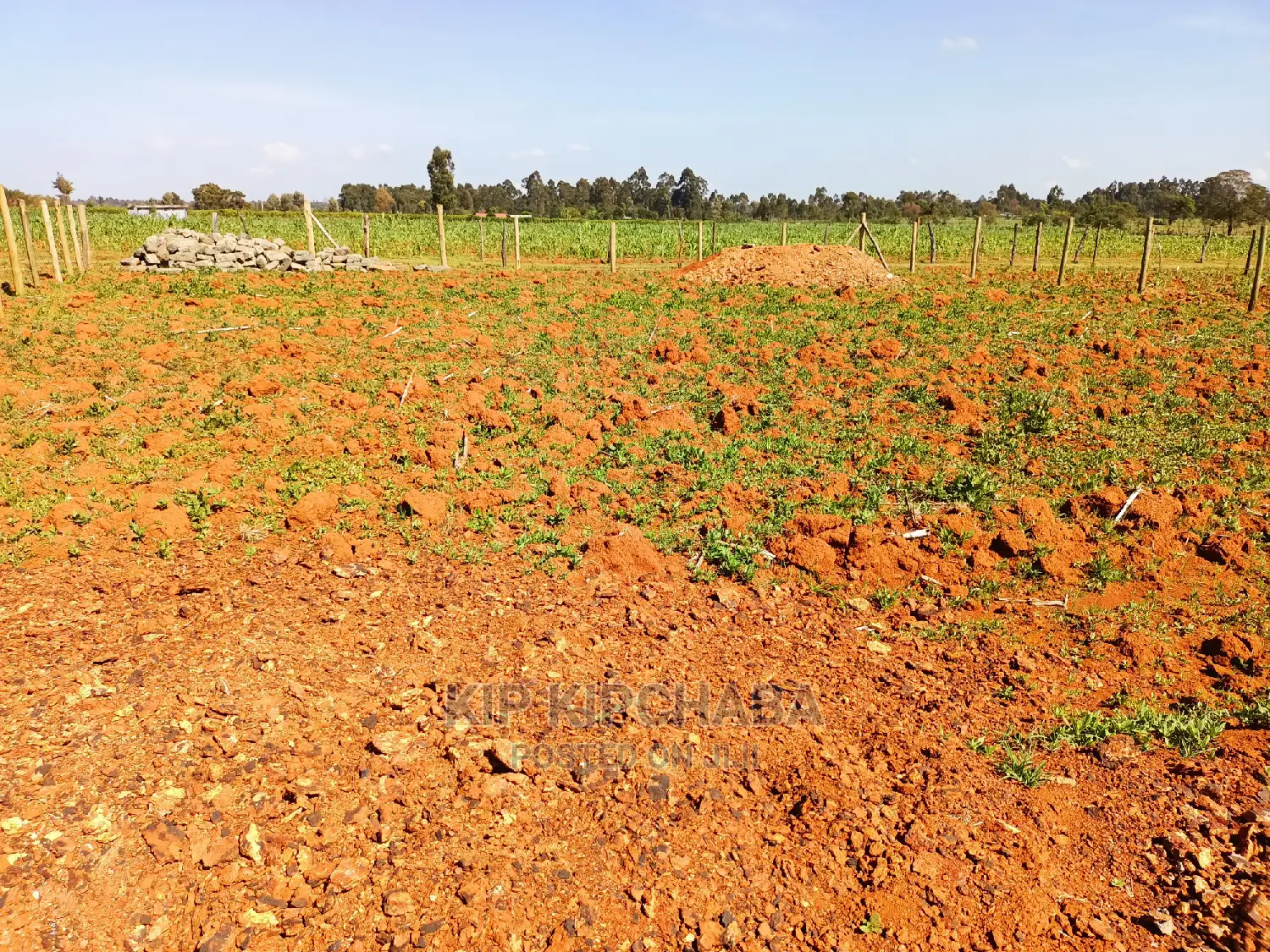 Affordable 1/4 Acre Land for Sale in Chepkanga Lelit, Eldoret in Kimumu