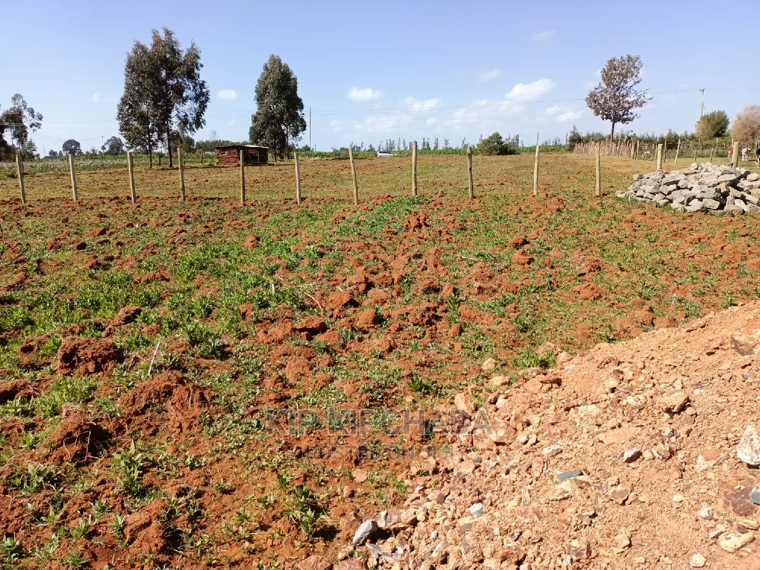Affordable 1/4 Acre Land for Sale in Chepkanga Lelit, Eldoret in Kimumu