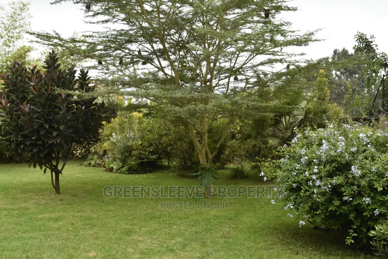 4bdrm Townhouse / Terrace in Hardy for rent in Hardy