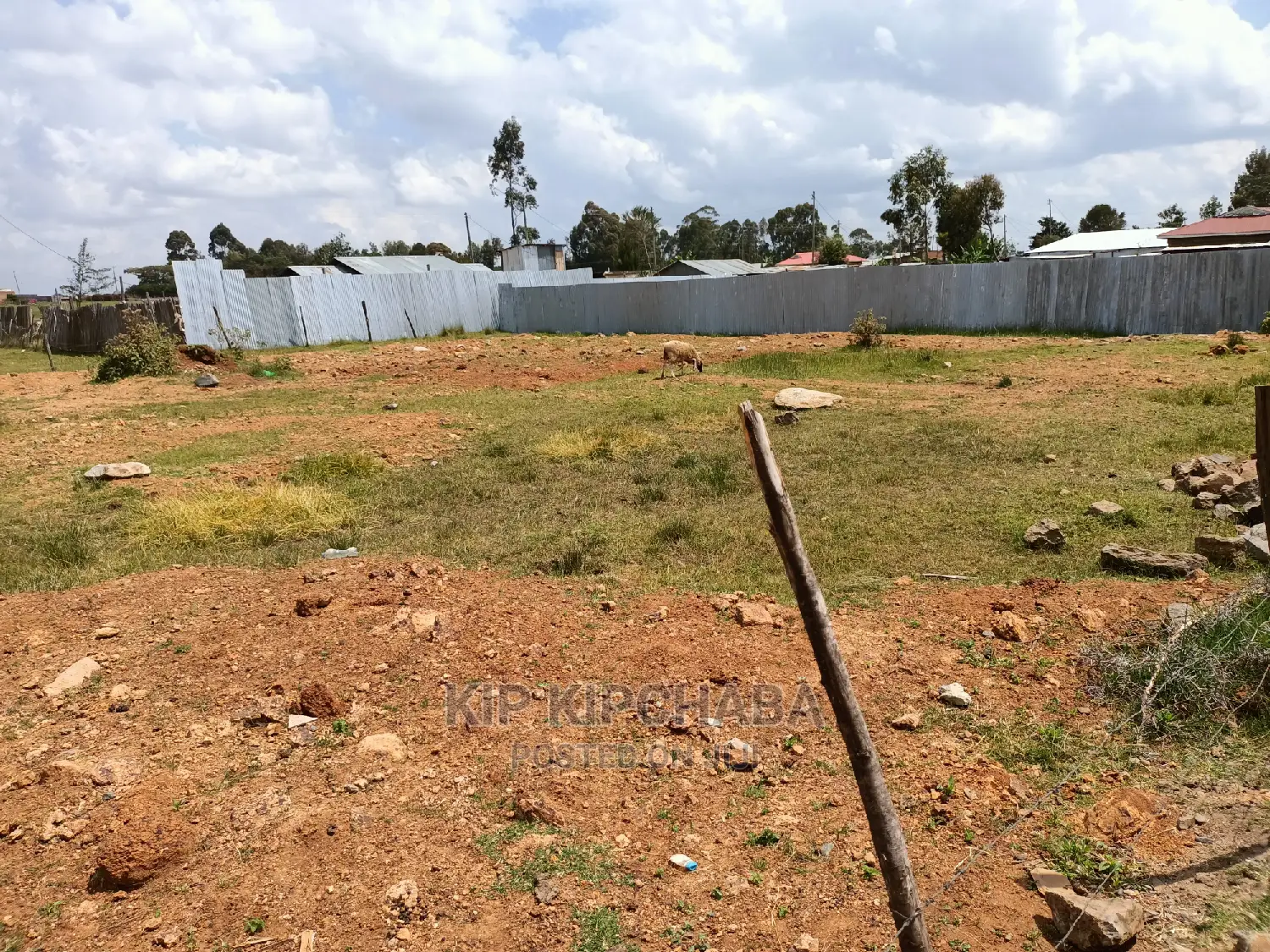 Spacious 1/4 Acre Plot for Sale in Chemaluk After Marura, Eldoret in Kimumu