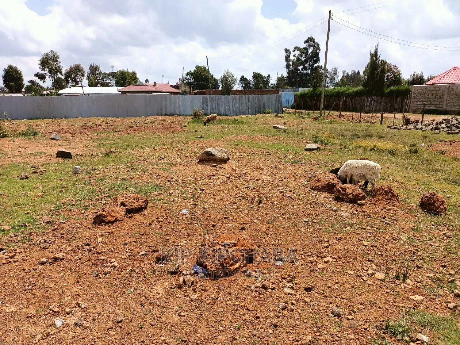 Spacious 1/4 Acre Plot for Sale in Chemaluk After Marura, Eldoret in Kimumu