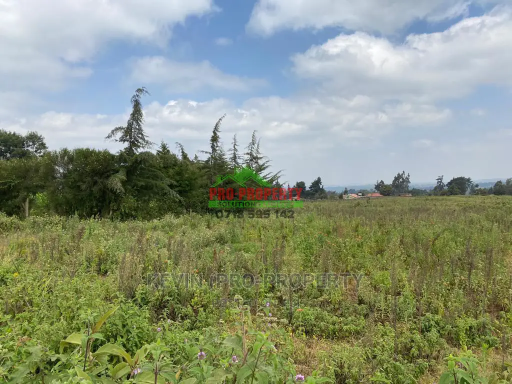 Limuru, Kamirithu: Prime Real Estate Plot Up for Grabs - Don't Miss Out! in Bibirioni