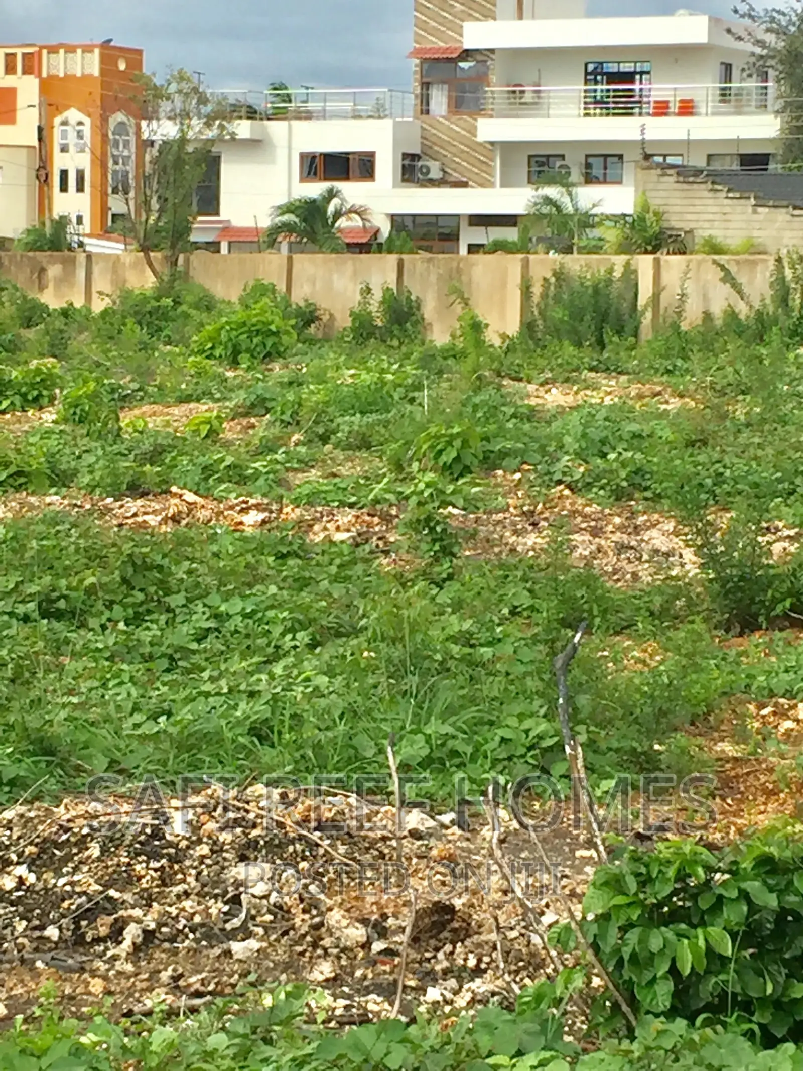 Shanzu: 1/4 Acre Beachfront Land For Sale Near Ocean in Shanzu
