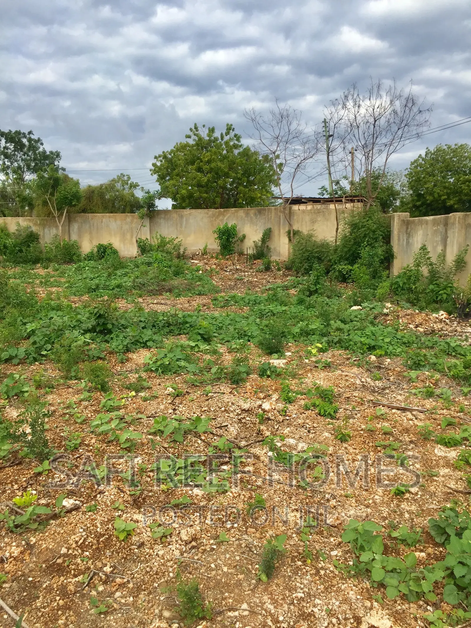 Shanzu: 1/4 Acre Beachfront Land For Sale Near Ocean in Shanzu
