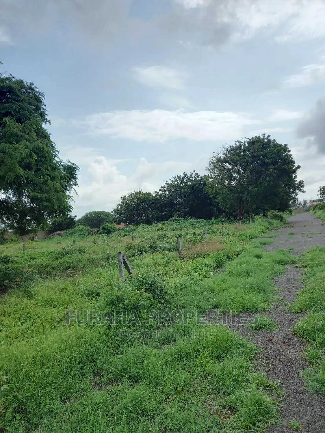 Buy 50x100 Plots in Malindi - Limited Time Offer in Malindi