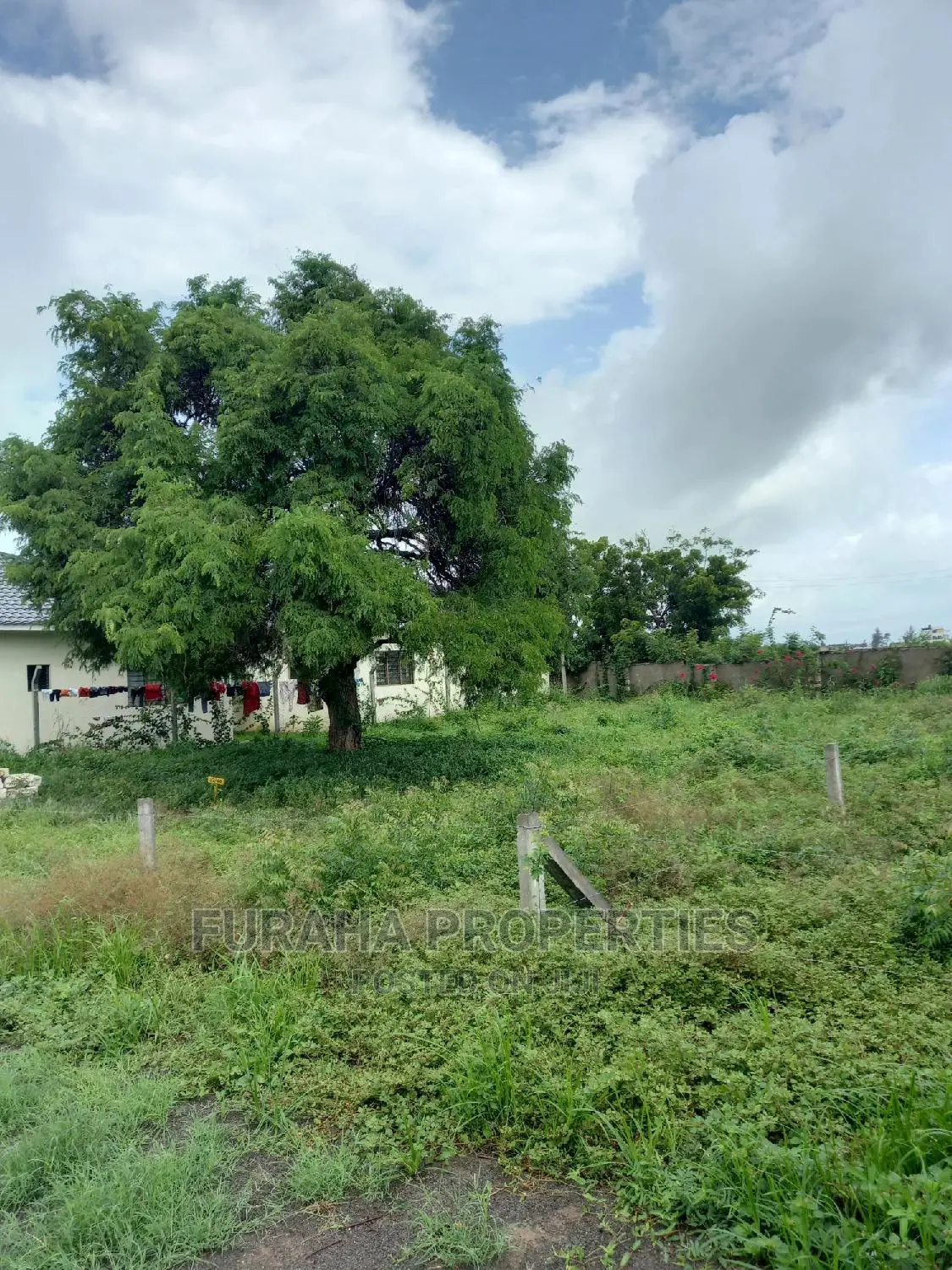 Buy 50x100 Plots in Malindi - Limited Time Offer in Malindi