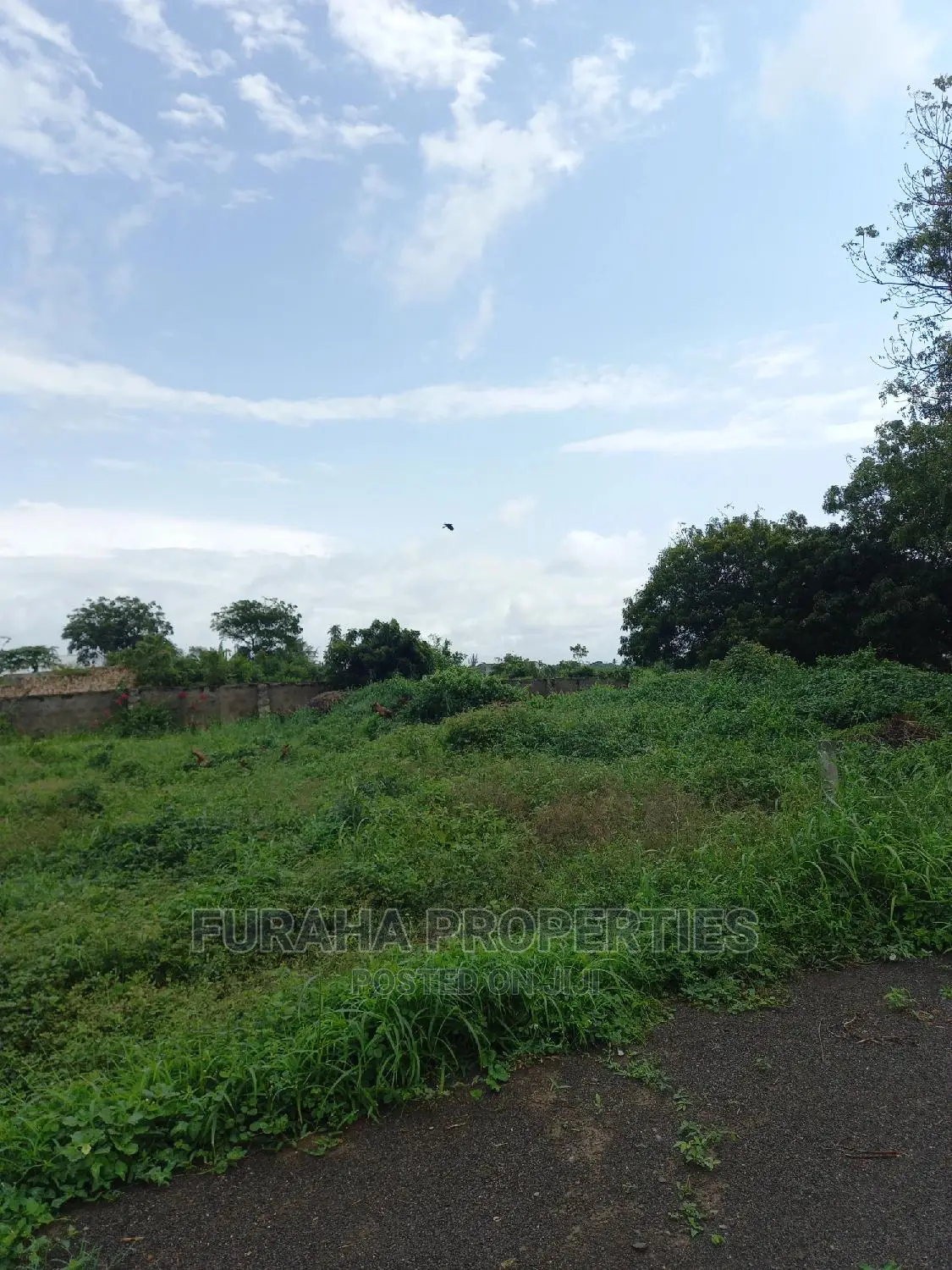 Buy 50x100 Plots in Malindi - Limited Time Offer in Malindi