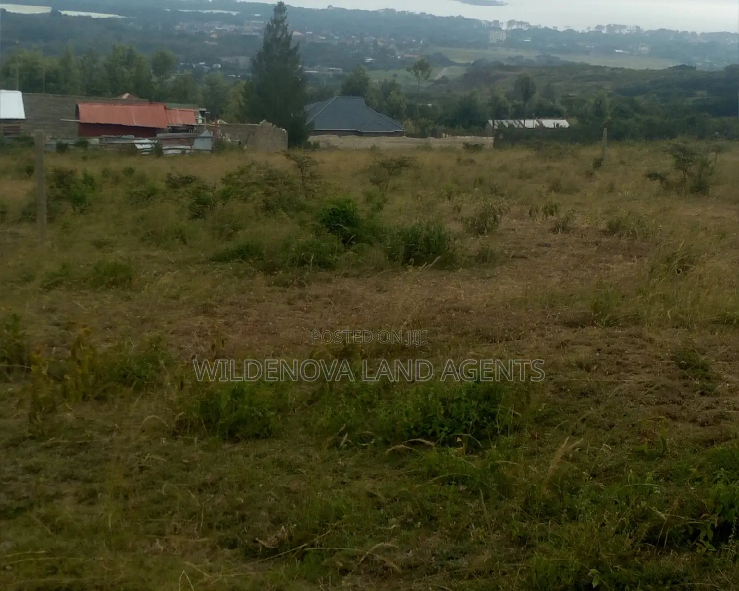 Prime 100x100 Land Plot for Sale in Naivasha, Kenya in Naivasha