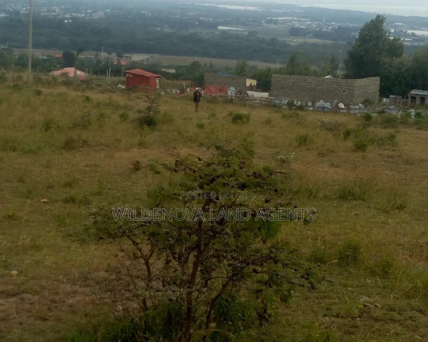 Prime 100x100 Land Plot for Sale in Naivasha, Kenya in Naivasha