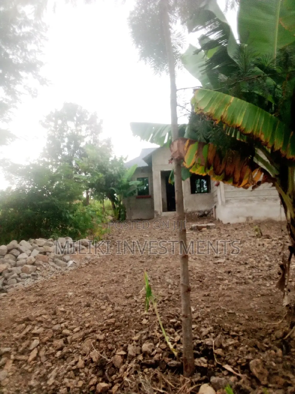 Methi's Half-Acre Land for Purchase in Kimorori/Wempa