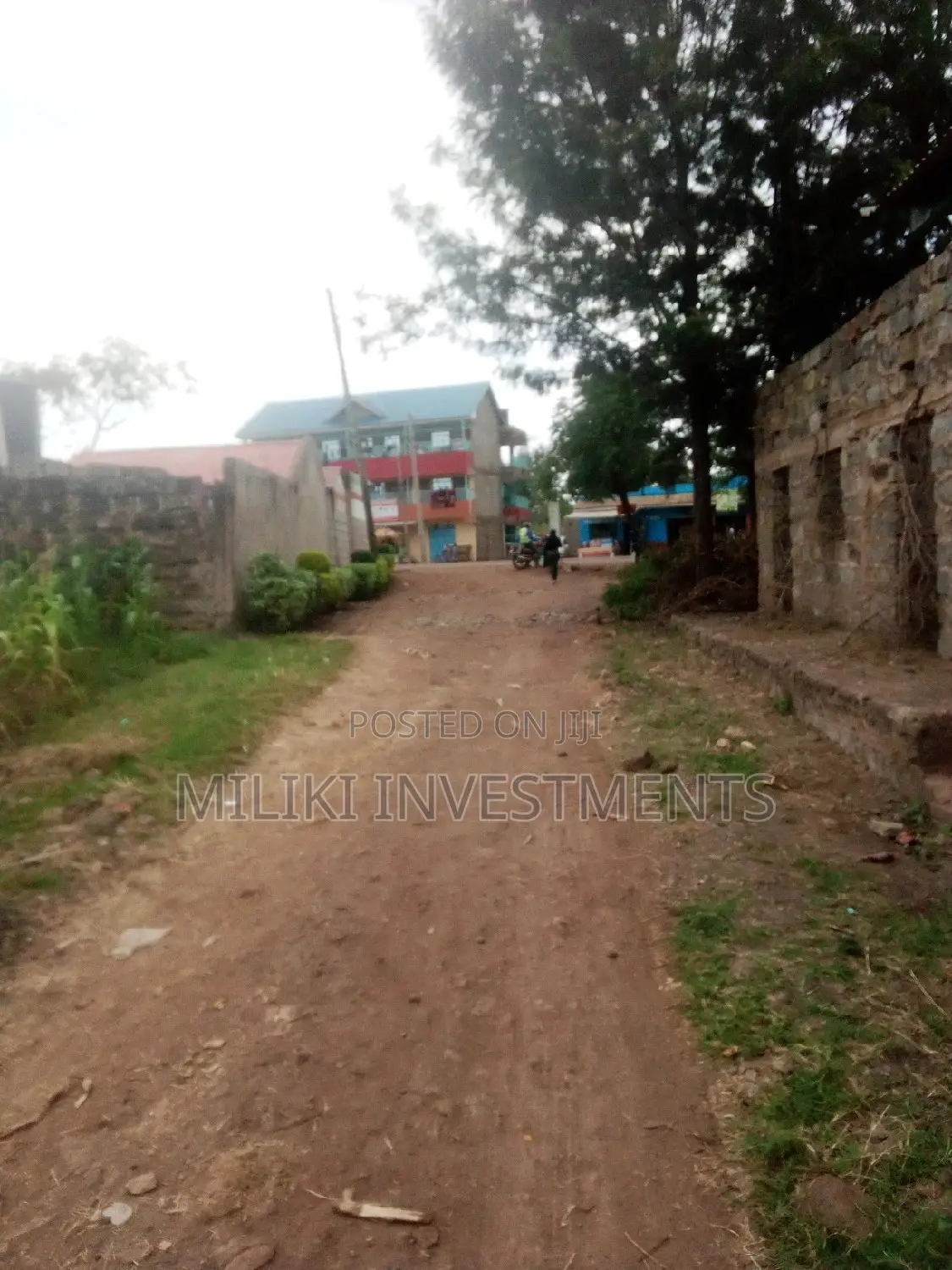 Methi's Half-Acre Land for Purchase in Kimorori/Wempa