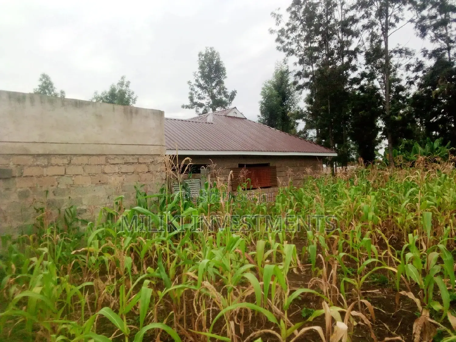 Kabati's 40x80 Sale - Discover Comfort at Reduced Prices in Kimorori/Wempa