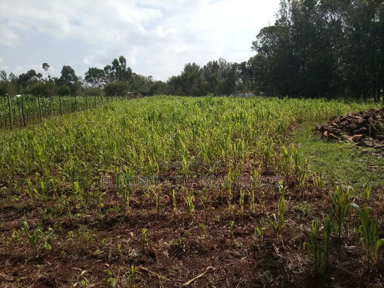 Title Deed Included: Half-Acre Haven in Kuinet Mti Moja in Soy