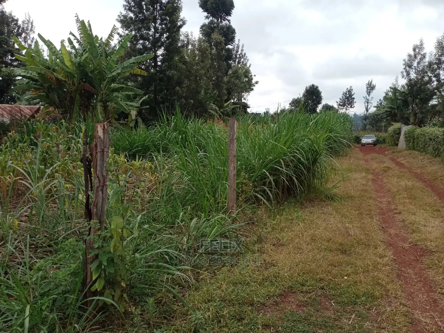 1/4 Plot on Sale in Kianjogu Karatina in Karatina Town