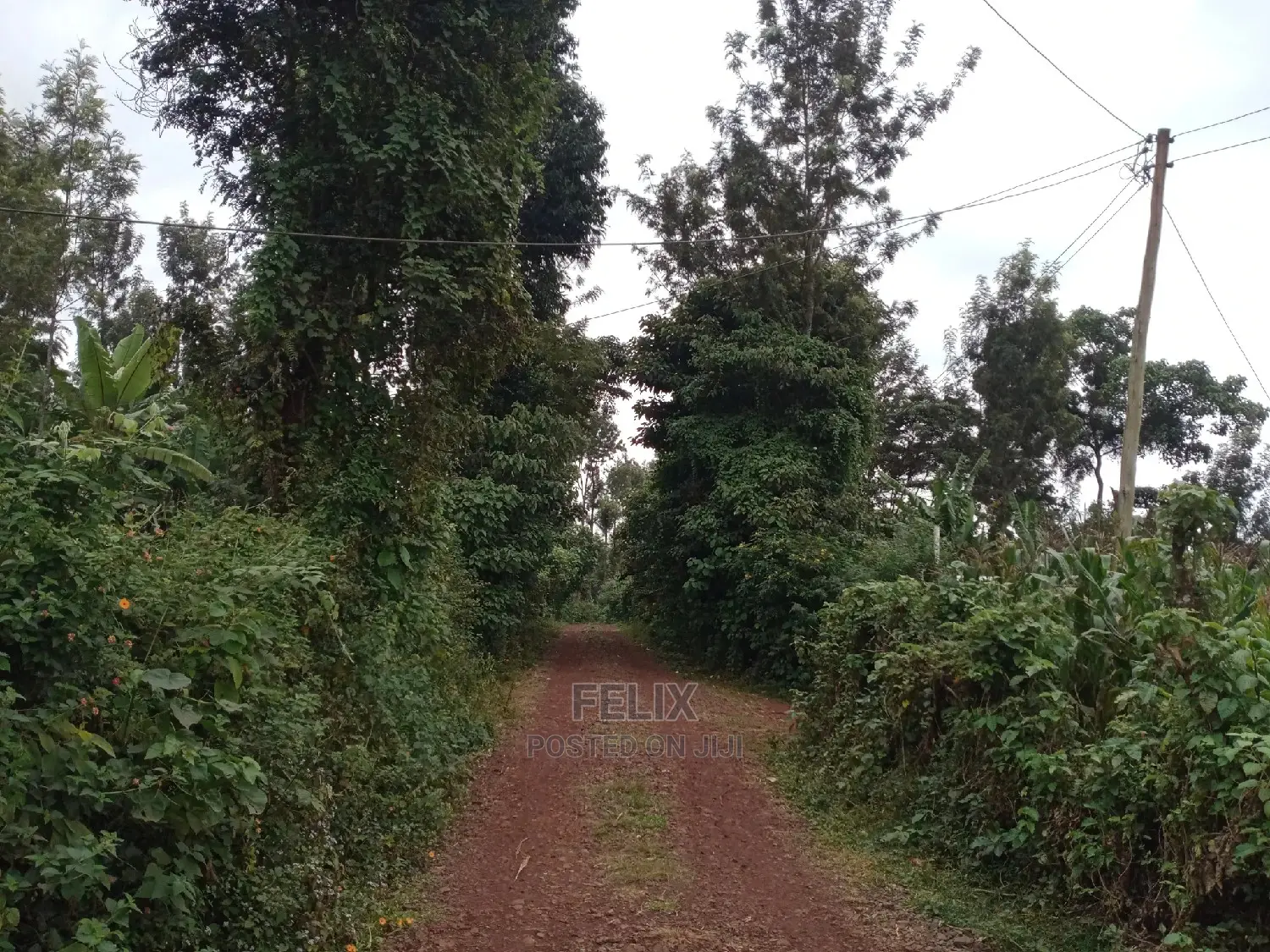 1/4 Plot on Sale in Kianjogu Karatina in Karatina Town