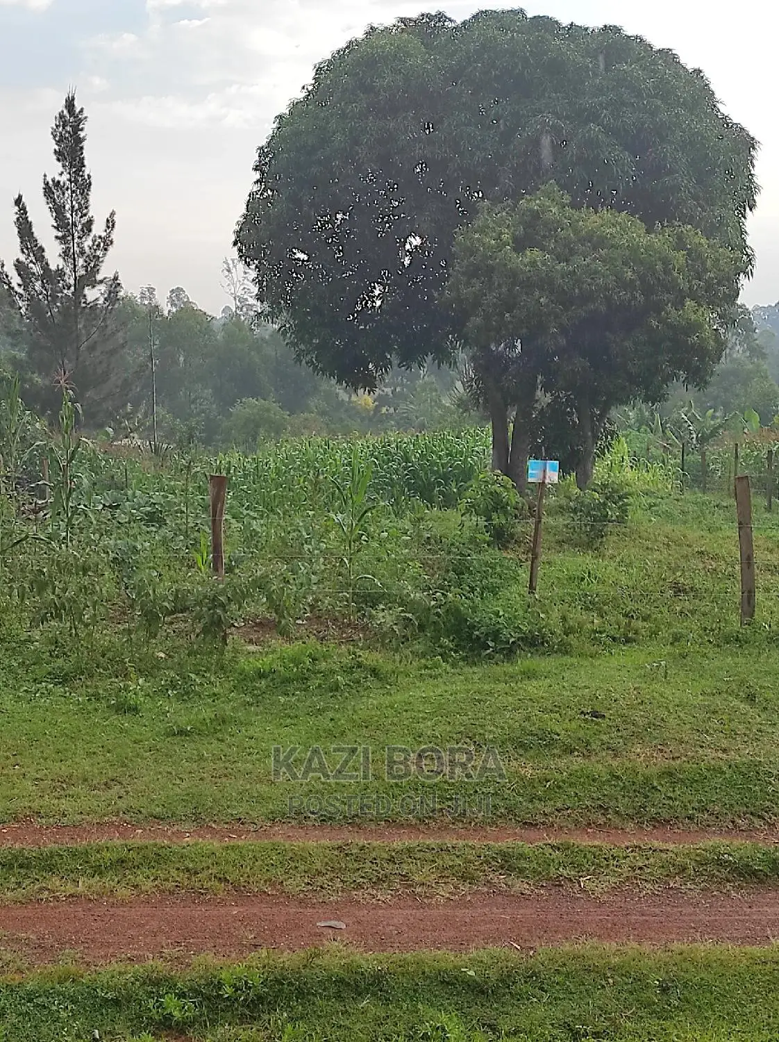 1/4 Acre Land Available for Sale at Kaburengu Junction, Eldoret-Webuye Highway in Nairobi Central