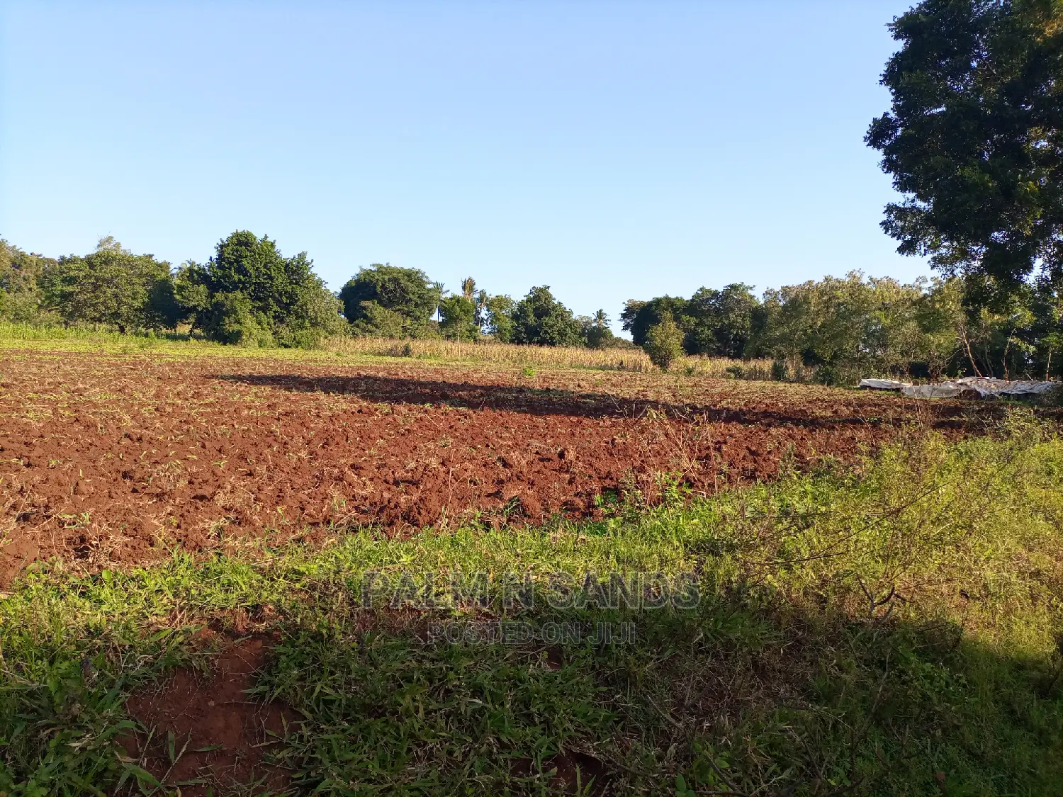30 Acres Farmland - Ideal for Agriculture in Dzombo