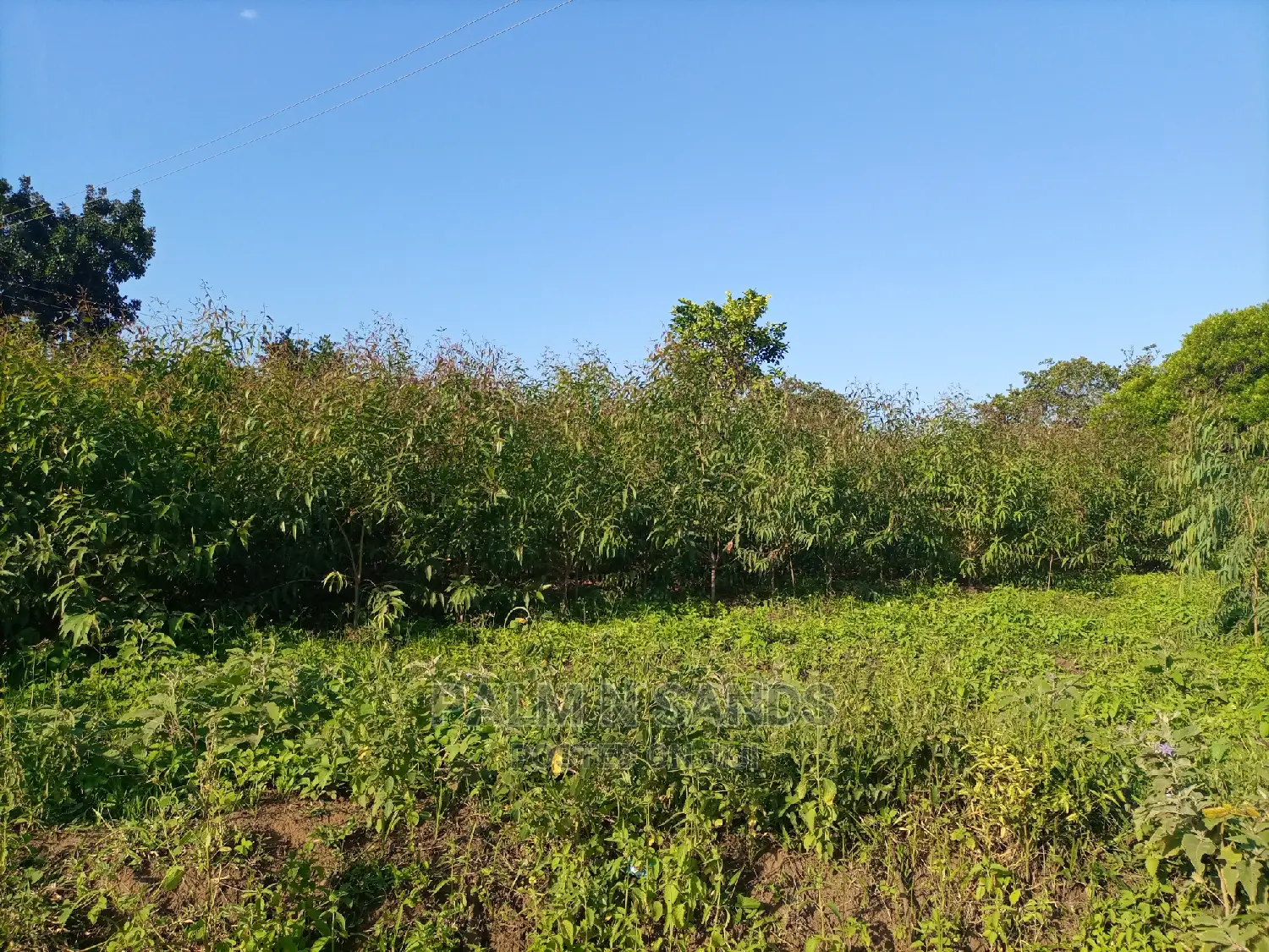 30 Acres Farmland - Ideal for Agriculture in Dzombo