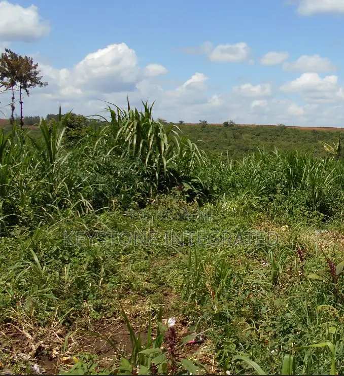 1/8 Acre Plot for Sale in Thika in Thika CBD