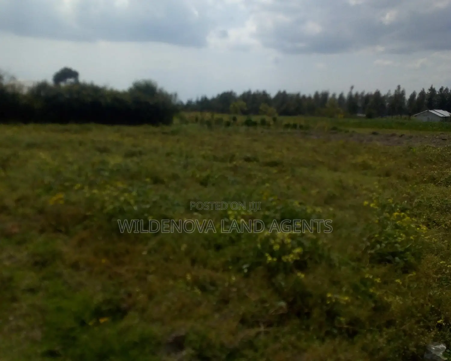 1/4 Acre Land Available in Heni Kinangop, Close to Karuru in Magumu