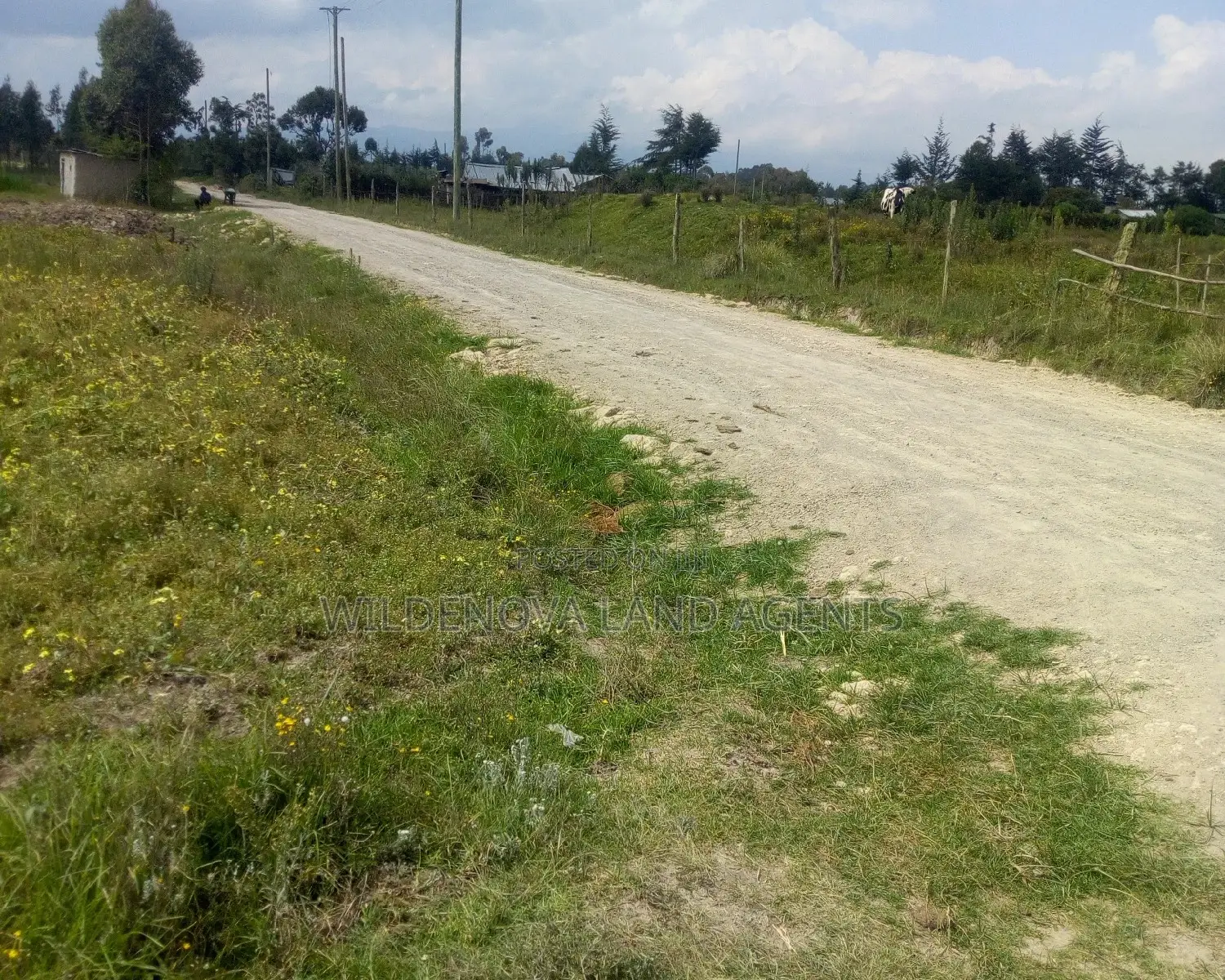 1/4 Acre Land Available in Heni Kinangop, Close to Karuru in Magumu
