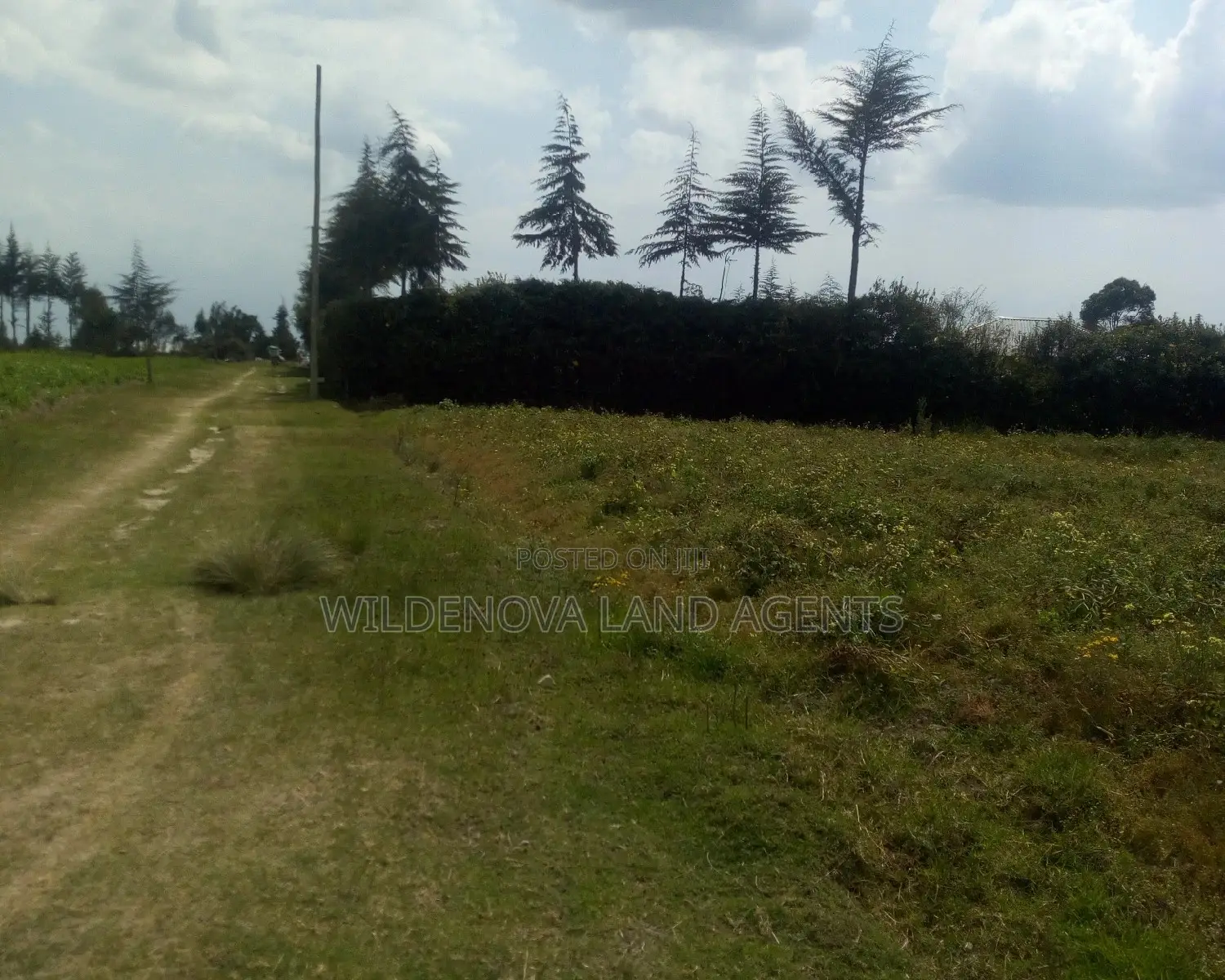1/4 Acre Land Available in Heni Kinangop, Close to Karuru in Magumu