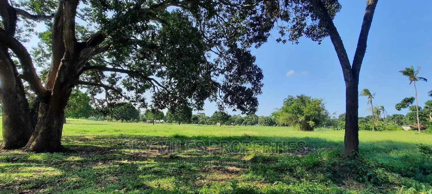 12-Month Financing: Buy Your Dream Plot in Animo Mtwapa (50/100 available) in Mtwapa