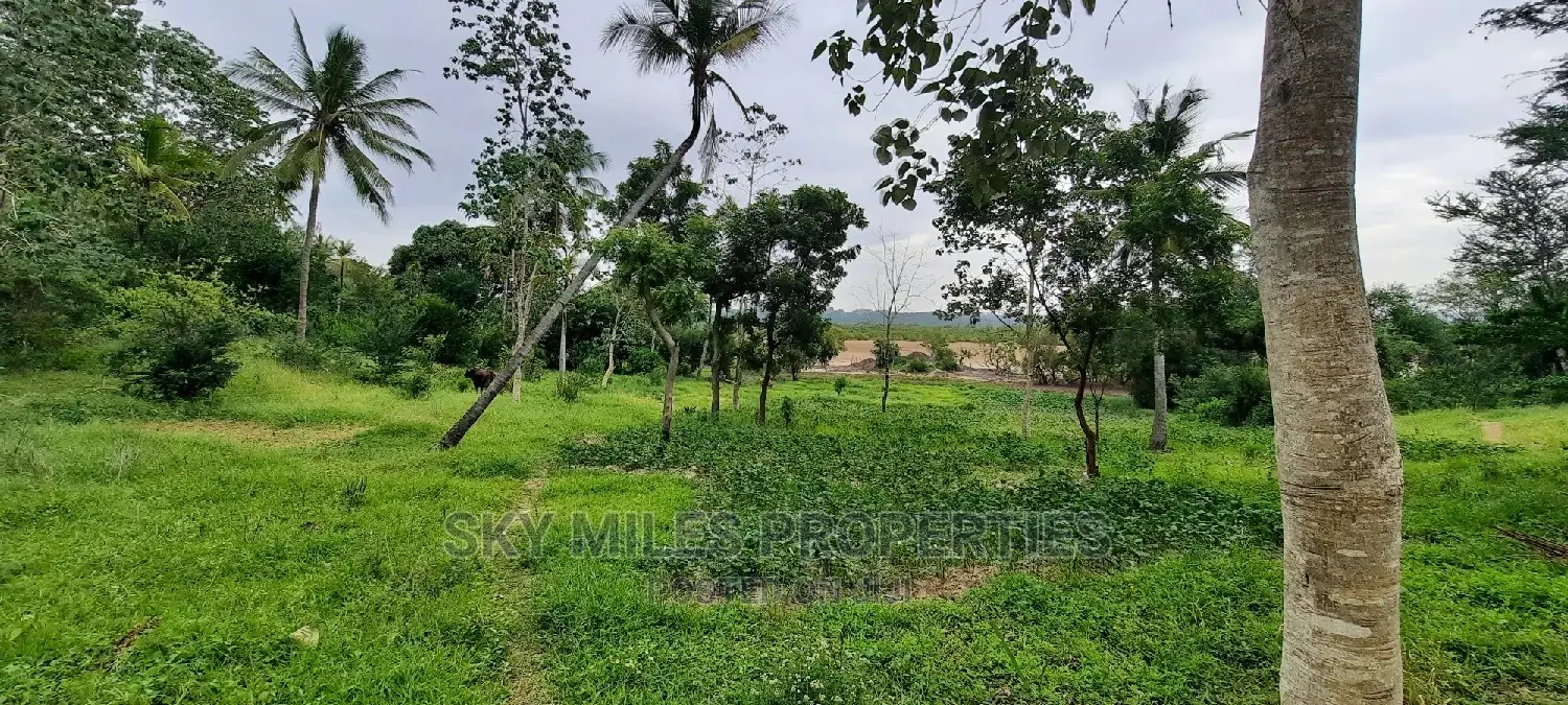 Mtwapa's 2.2-acre Creekside Beach Plot - Now Available in Mtwapa