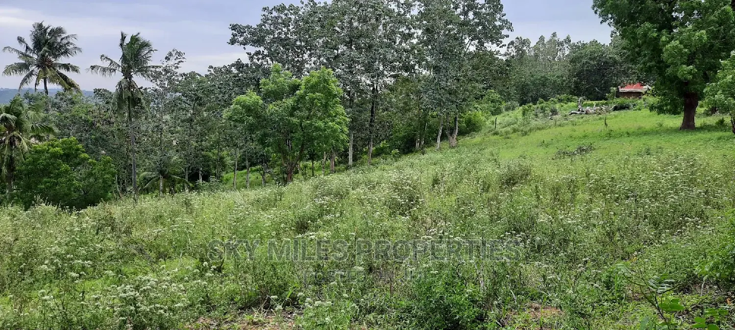 Mtwapa's 2.2-acre Creekside Beach Plot - Now Available in Mtwapa