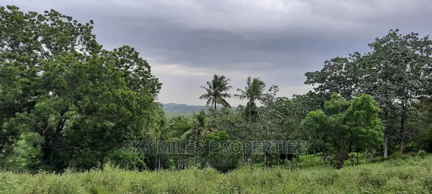 Mtwapa's 2.2-acre Creekside Beach Plot - Now Available in Mtwapa